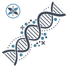 Human dna double helix strand icon for science and genetics