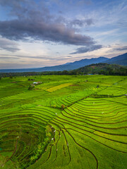 Beautiful morning view indonesia panorama landscape paddy fields with beauty color and sky natural...