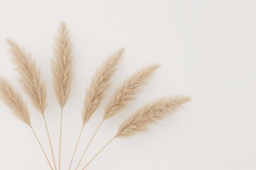 Neutral-toned abstract pattern featuring beige reeds on a white backdrop. Sleek and modern natural design.