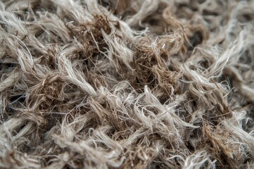 Obraz premium Close-up microscopic view of textile fibers