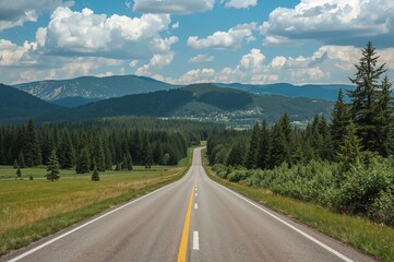 Naklejka premium Wide pathway bordered by dense greenery in a scenic setting