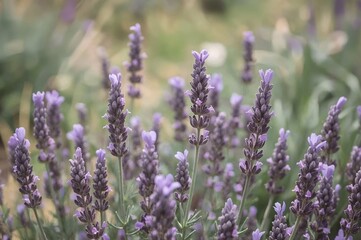 Naklejka premium Spring garden adorned with delicate lavender blooms against a gentle natural background