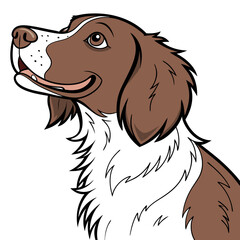 Brown and white brittany spaniel dog head