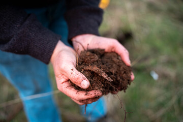 modern young farmer collecting soil samples in a test tube in a field. Agronomist checking soil carbon and plant health on a farm