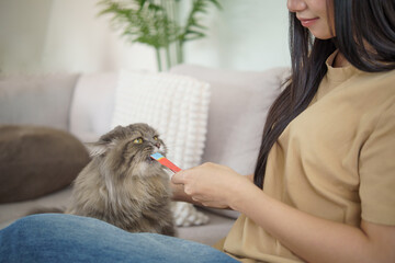 Young Asian woman feeding her fluffy cat with a treat at home.