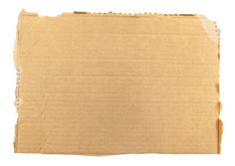 Piece of torn cardboard on a white background. Torn cardboard isolate