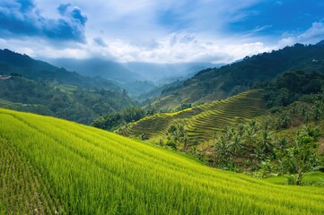 Fototapeta premium Scenic view of tiered verdant rice paddies on a hillside, featuring sky and seasonal themes