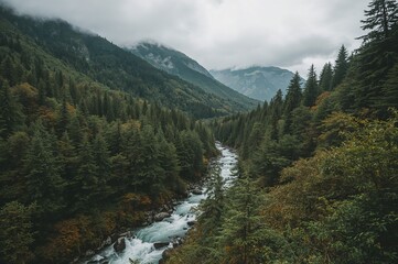 Obraz premium Dense green forest blanketing a mountain under overcast skies