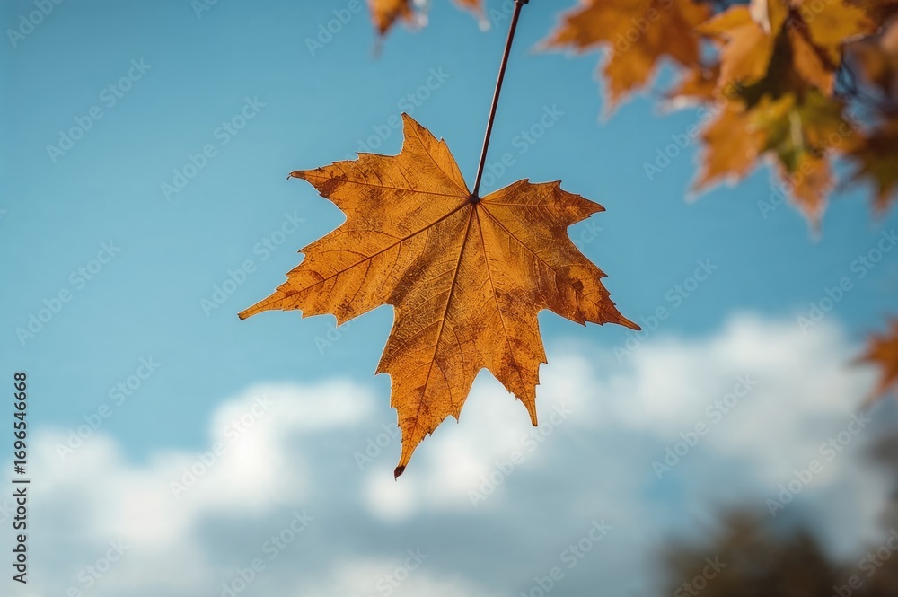 Poster close-up of a maple leaf against a clear sky with a soft-focus backdrop and room for text