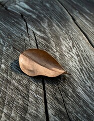 Dried leaf on weathered wood (3)