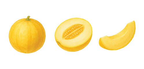 Adobe Illustrator Artwork © Natallia