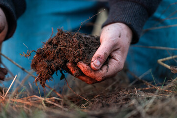 modern young farmer collecting soil samples in a test tube in a field. Agronomist checking soil carbon and plant health on a farm