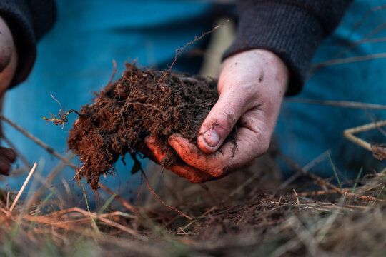 modern young farmer collecting soil samples in a test tube in a field. Agronomist checking soil carbon and plant health on a farm