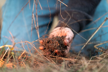 farmer collecting soil samples in a test tube in a field. Agronomist checking soil carbon and plant health on a farm