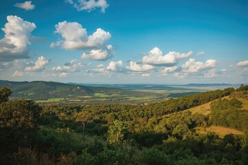 Scenic expanse of open grassland