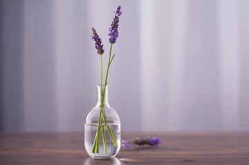 Indoor vase holding lavender blooms with a muted color scheme