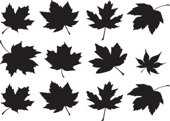 Fototapeta premium Vector seamless pattern of colorful autumn leaves with maple and oak elements