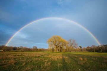 Naklejka premium Afternoon double rainbow in springtime