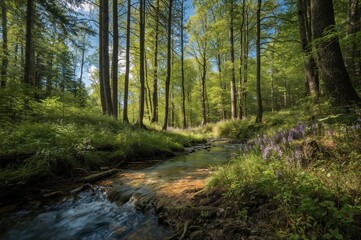 Fototapeta premium Enchanted river flowing through woodland
