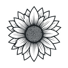 Elegant sunflower design for nature inspired decor and crafts. Vector hand drawn illustration