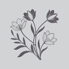 Ornamental Strawflower Flower Ink Drawing