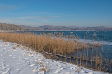 A peaceful snowy landscape beside a calm lake, with golden reeds standing tall along the shore and gentle hills in the distance.