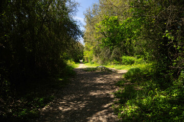with green vegetation and blue sky…7