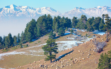 Fototapety na wymiar - Fototapeta24.pl