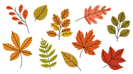Obraz premium Set of sort of autumn leaves - oak, maple, chestnut, ash, birch etc.. Flat minimalistic modern fall leaves collection for seasonal designs. Vector illustrations.