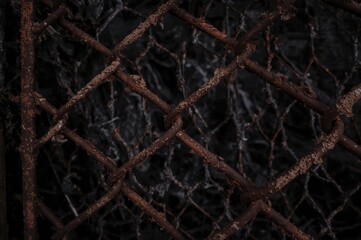 Detailed view of corroded wire mesh barrier