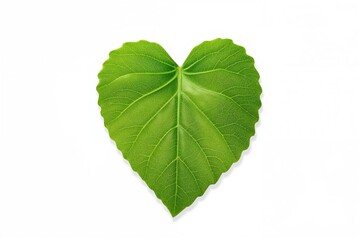 Eco-friendly green plastic leaf against a plain white backdrop