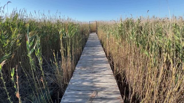 Wooden road and old wooden gate in the floodplain