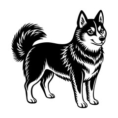 Naklejka premium Alaskan Klee Kai