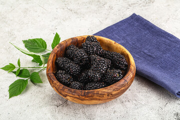 Natural organic sweet ripe blackberry