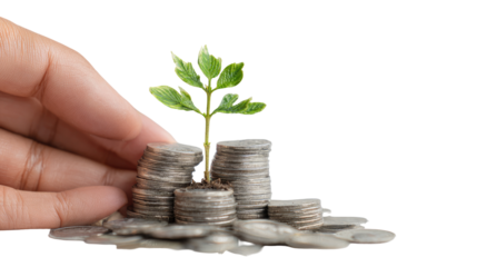 A hand gently holds a small plant growing from a stack of coins