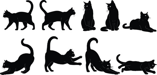 Playful black cats in various dynamic poses, showcasing feline grace and movement.