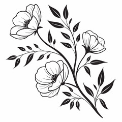 black and white flowers