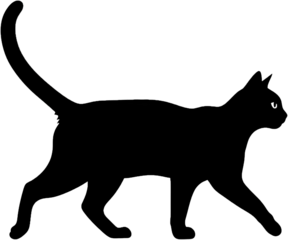 Black cat silhouette, isolated on a transparent background, png image, showcasing elegance and mystery, perfect for design projects