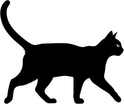 Black cat silhouette, isolated on a transparent background, png image, showcasing elegance and mystery, perfect for design projects