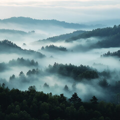 aerial view of a forested mountain range, with valleys and peaks shrouded in layers of ethereal fog