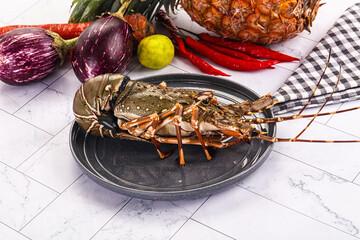 Raw wild fresh spiny lobster