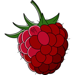 raspberry with leaves