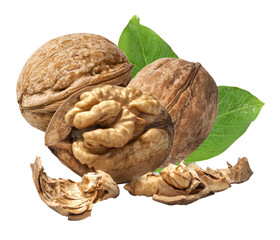 Walnuts with leaves falling on transparent background