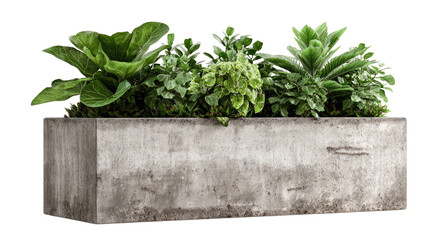 Gray concrete planter box filled with various greenery (1)