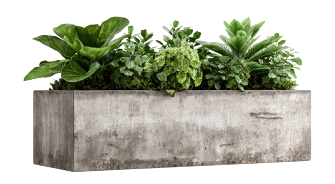 Gray concrete planter box filled with various greenery (1)