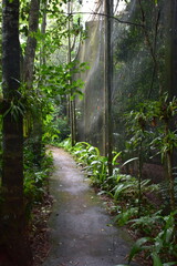 parque das aves - mfoz do iguaçu