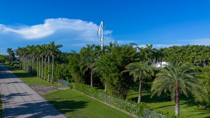 Obraz premium View of palm trees road and vertical windmill in background on sunny day