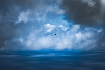 Lone bird soars beneath dramatic clouds over a vast blue ocean