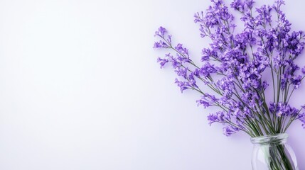 Fototapeta premium Purple flowers in glass vase on pastel background