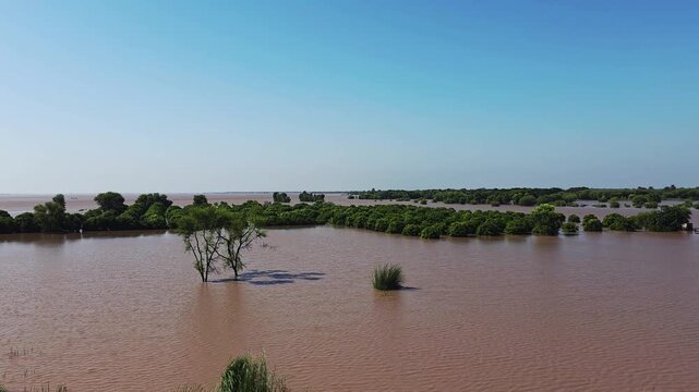 Chenab River Flood 2025, South Punjab Pakistan Flooding & Climate Change causing urban flooding. 